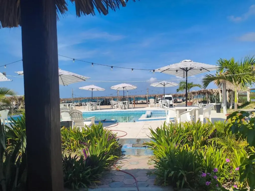 Outdoor pool and tropical garden at Pacha Beach Club